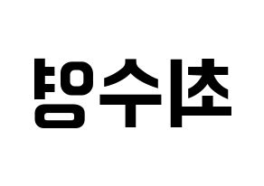 KPOP Girls' Generation(소녀시대、少女時代) 수영 (スヨン) k-pop アイドル名前 ファンサボード 型紙 左右反転