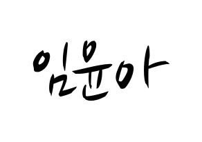 KPOP Girls' Generation(소녀시대、少女時代) 윤아 (ユナ) k-pop 応援ボード メッセージ 型紙 通常