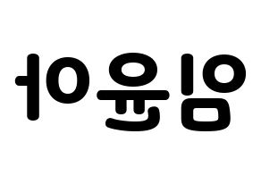 KPOP Girls' Generation(소녀시대、少女時代) 윤아 (ユナ) 応援ボード・うちわ　韓国語/ハングル文字型紙 左右反転