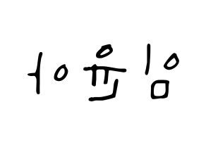 KPOP Girls' Generation(소녀시대、少女時代) 윤아 (ユナ) 応援ボード ハングル 型紙  左右反転