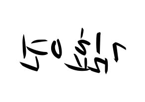 KPOP Girls' Generation(소녀시대、少女時代) 효연 (ヒョヨン) k-pop 応援ボード メッセージ 型紙 左右反転