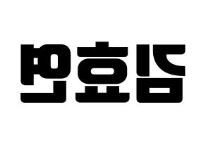 KPOP Girls' Generation(소녀시대、少女時代) 효연 (ヒョヨン) コンサート用　応援ボード・うちわ　韓国語/ハングル文字型紙 左右反転