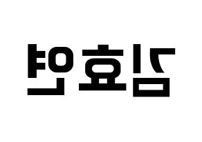 KPOP Girls' Generation(소녀시대、少女時代) 효연 (ヒョヨン) k-pop アイドル名前 ファンサボード 型紙 左右反転