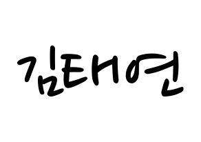 KPOP Girls' Generation(소녀시대、少女時代) 태연 (テヨン) 応援ボード ハングル 型紙  通常