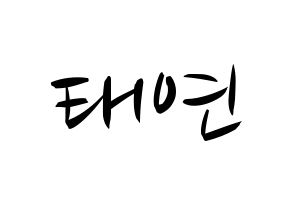 KPOP Girls' Generation(소녀시대、少女時代) 태연 (テヨン) k-pop 応援ボード メッセージ 型紙 通常