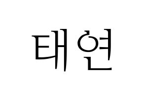 KPOP Girls' Generation(소녀시대、少女時代) 태연 (テヨン) 応援ボード・うちわ　韓国語/ハングル文字型紙 通常