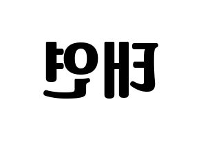KPOP Girls' Generation(소녀시대、少女時代) 태연 (テヨン) コンサート用　応援ボード・うちわ　韓国語/ハングル文字型紙 左右反転