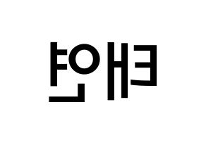 KPOP Girls' Generation(소녀시대、少女時代) 태연 (キム・テヨン, テヨン) 無料サイン会用、イベント会用応援ボード型紙 左右反転