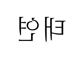 KPOP Girls' Generation(소녀시대、少女時代) 태연 (テヨン) 応援ボード・うちわ　韓国語/ハングル文字型紙 左右反転