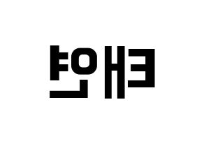 KPOP Girls' Generation(소녀시대、少女時代) 태연 (テヨン) k-pop アイドル名前 ファンサボード 型紙 左右反転