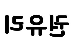 KPOP Girls' Generation(소녀시대、少女時代) 유리 (ユリ) 応援ボード・うちわ　韓国語/ハングル文字型紙 左右反転