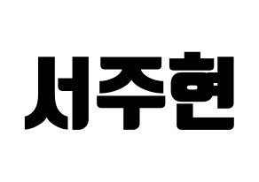 KPOP Girls' Generation(소녀시대、少女時代) 서현 (ソヒョン) コンサート用　応援ボード・うちわ　韓国語/ハングル文字型紙 通常