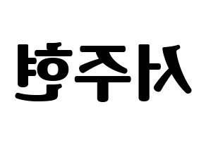 KPOP Girls' Generation(소녀시대、少女時代) 서현 (ソヒョン) コンサート用　応援ボード・うちわ　韓国語/ハングル文字型紙 左右反転