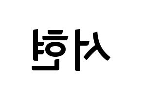 KPOP Girls' Generation(소녀시대、少女時代) 서현 (ソヒョン) k-pop アイドル名前 ファンサボード 型紙 左右反転