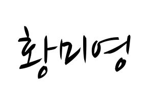 KPOP Girls' Generation(소녀시대、少女時代) 티파니 (ティファニー) k-pop 応援ボード メッセージ 型紙 通常