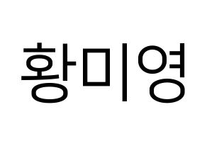 KPOP Girls' Generation(소녀시대、少女時代) 티파니 (ティファニー) プリント用応援ボード型紙、うちわ型紙　韓国語/ハングル文字型紙 通常