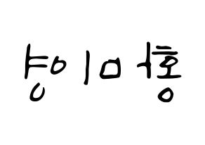 KPOP Girls' Generation(소녀시대、少女時代) 티파니 (ティファニー) 応援ボード ハングル 型紙  左右反転
