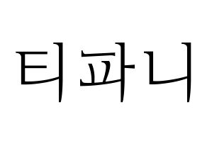 KPOP Girls' Generation(소녀시대、少女時代) 티파니 (ティファニー) 応援ボード・うちわ　韓国語/ハングル文字型紙 通常