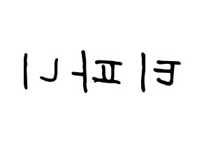 KPOP Girls' Generation(소녀시대、少女時代) 티파니 (ティファニー) k-pop 応援ボード メッセージ 型紙 左右反転