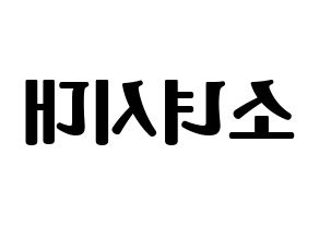 無料 KPOP Girls' Generation(소녀시대、少女時代) ハングルボード型紙、ハングルうちわ型紙 左右反転