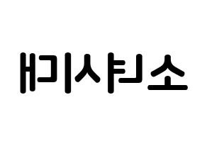 KPOP Girls' Generation(소녀시대、少女時代) k-pop ボード ハングル表記 言葉 左右反転