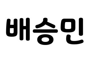 KPOP Golden Child(골든차일드、ゴールデン・チャイルド) 배승민 (スンミン) 応援ボード・うちわ　韓国語/ハングル文字型紙 通常