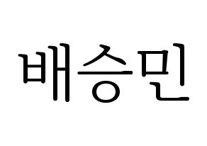 KPOP Golden Child(골든차일드、ゴールデン・チャイルド) 배승민 (スンミン) 応援ボード・うちわ　韓国語/ハングル文字型紙 通常
