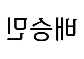 KPOP Golden Child(골든차일드、ゴールデン・チャイルド) 배승민 (スンミン) プリント用応援ボード型紙、うちわ型紙　韓国語/ハングル文字型紙 左右反転