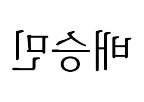 KPOP Golden Child(골든차일드、ゴールデン・チャイルド) 배승민 (スンミン) 応援ボード・うちわ　韓国語/ハングル文字型紙 左右反転