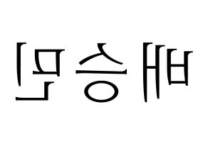 KPOP Golden Child(골든차일드、ゴールデン・チャイルド) 배승민 (スンミン) 応援ボード・うちわ　韓国語/ハングル文字型紙 左右反転