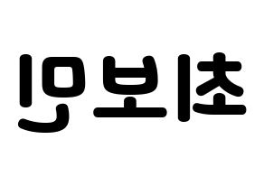 KPOP Golden Child(골든차일드、ゴールデン・チャイルド) 최보민 (ボミン) 応援ボード・うちわ　韓国語/ハングル文字型紙 左右反転