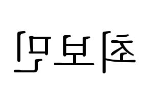 KPOP Golden Child(골든차일드、ゴールデン・チャイルド) 최보민 (ボミン) 応援ボード・うちわ　韓国語/ハングル文字型紙 左右反転