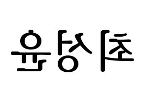 KPOP Golden Child(골든차일드、ゴールデン・チャイルド) Y (Y) プリント用応援ボード型紙、うちわ型紙　韓国語/ハングル文字型紙 左右反転