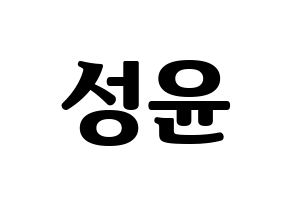 KPOP Golden Child(골든차일드、ゴールデン・チャイルド) Y (Y) コンサート用　応援ボード・うちわ　韓国語/ハングル文字型紙 通常