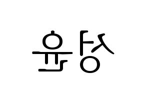 KPOP Golden Child(골든차일드、ゴールデン・チャイルド) Y (Y) 応援ボード・うちわ　韓国語/ハングル文字型紙 左右反転