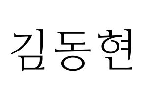 KPOP Golden Child(골든차일드、ゴールデン・チャイルド) 김동현 (ドンヒョン) 応援ボード・うちわ　韓国語/ハングル文字型紙 通常