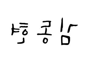 KPOP Golden Child(골든차일드、ゴールデン・チャイルド) 김동현 (ドンヒョン) 応援ボード ハングル 型紙  左右反転