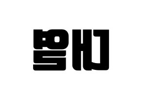 KPOP Golden Child(골든차일드、ゴールデン・チャイルド) 이대열 (デヨル) コンサート用　応援ボード・うちわ　韓国語/ハングル文字型紙 左右反転
