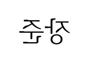 KPOP Golden Child(골든차일드、ゴールデン・チャイルド) 이장준 (チャンジュン) 応援ボード・うちわ　韓国語/ハングル文字型紙 左右反転