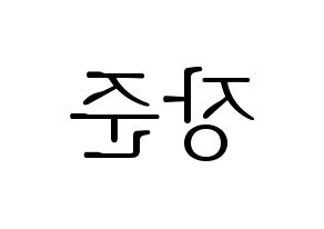 KPOP Golden Child(골든차일드、ゴールデン・チャイルド) 이장준 (チャンジュン) 応援ボード・うちわ　韓国語/ハングル文字型紙 左右反転