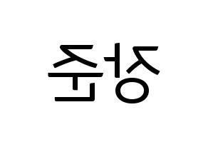 KPOP Golden Child(골든차일드、ゴールデン・チャイルド) 이장준 (チャンジュン) コンサート用　応援ボード・うちわ　韓国語/ハングル文字型紙 左右反転
