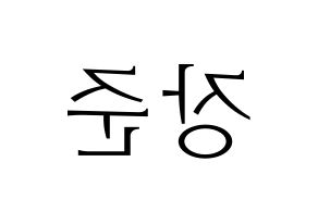 KPOP Golden Child(골든차일드、ゴールデン・チャイルド) 이장준 (チャンジュン) 応援ボード・うちわ　韓国語/ハングル文字型紙 左右反転