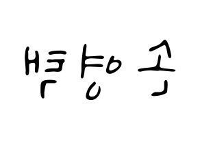 KPOP Golden Child(골든차일드、ゴールデン・チャイルド) TAG (TAG) 応援ボード ハングル 型紙  左右反転