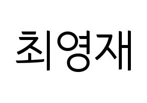 KPOP GOT7(갓세븐、ガットセブン) 영재 (ヨンジェ) コンサート用　応援ボード・うちわ　韓国語/ハングル文字型紙 通常