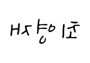 KPOP GOT7(갓세븐、ガットセブン) 영재 (ヨンジェ) 応援ボード ハングル 型紙  左右反転