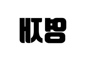 KPOP GOT7(갓세븐、ガットセブン) 영재 (ヨンジェ) コンサート用　応援ボード・うちわ　韓国語/ハングル文字型紙 左右反転