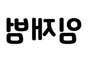 KPOP GOT7(갓세븐、ガットセブン) JB (JB) 応援ボード・うちわ　韓国語/ハングル文字型紙 左右反転