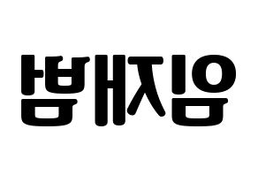 KPOP GOT7(갓세븐、ガットセブン) JB (JB) コンサート用　応援ボード・うちわ　韓国語/ハングル文字型紙 左右反転