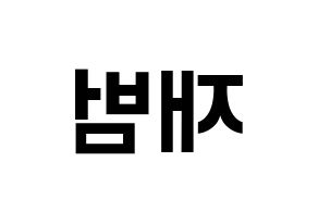 KPOP GOT7(갓세븐、ガットセブン) JB (JB) k-pop アイドル名前 ファンサボード 型紙 左右反転