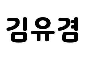 KPOP GOT7(갓세븐、ガットセブン) 유겸  (ユギョム) 応援ボード・うちわ　韓国語/ハングル文字型紙 通常